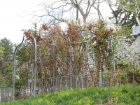 iron-anvil-arbors-900-s-10th-east-at-stairs-1