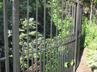 Krantz Close