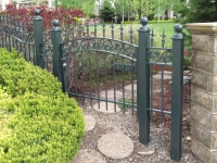 mourning-glory-pattern-chateau-on-the-green-fence