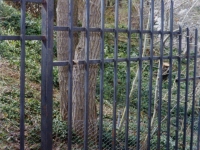 iron-anvil-fences-spear-top-double-rail-simple-smash-extended-smash