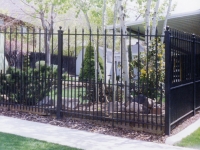 iron-anvil-fences-spear-top-double-rail-spear-217-and-dog-guard-2-2