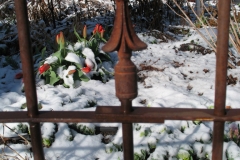 Spear-Top Single Rail   54-