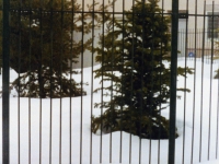 iron-anvil-fences-spear-top-single-rail-extended-picket-rose