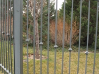 iron-anvil-fences-spear-top-single-rail-spear-217-fence-with-collars-off-willow-creek-3-f23-1
