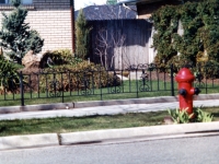 iron-anvil-fences-by-others-188-pattern-short-iron-anvil-fences-by-others