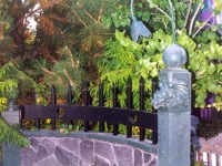 iron-anvil-fences-by-others-heavy-side-mount-1