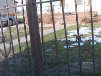iron-anvil-fences-by-others-needing-repairs