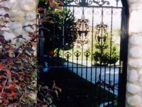 iron-anvil-gates-by-others-man-flat-grapes