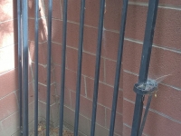 61-0151-Iron-Anvil-Gates-Man-Flat-NIELSON-19058-4-99-