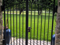 61-0411-Iron-Anvil-Gates-Man-Arch-GOLDTHORPE-16515-MARK-ABERTON-GRAPE-FENCE-AWARDS-ANDIRONS-GRATE-FIREPLACE-