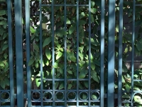 61-0760-B-Iron-Anvil-Gates-Man-Flat-TALL-OAKS-GATE-99