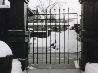 iron-anvil-gates-man-flat-01