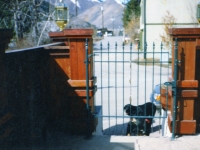 iron-anvil-gates-man-flat-02
