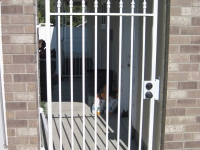 iron-anvil-gates-man-flat-spears-01