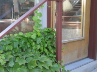 iron-anvil-handrails-post-mount-flat-bar-urban-1