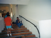 iron-anvil-handrails-wall-mount-vine-wrap