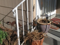 iron-anvil-railing-belly-rail-single-top-flat-bar-sugarhouse-before-1