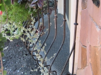 iron-anvil-railing-belly-rail-single-top-round-collars-29-0007-chandler-dr-3-3