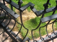iron-anvil-railing-belly-rail-single-top-square-spear-29-1620-bennet-betty-penny-chandler-circles-a-5