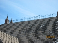 iron-anvil-railing-by-others-the-paint-experts-8-3