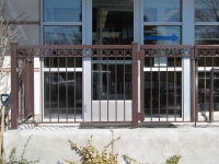 iron-anvil-railing-double-top-circles-10-xxxx-jacobsen-old-girl-scout-building-2
