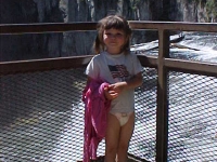 iron-anvil-railing-grid-wire-rail-idaho-by-others