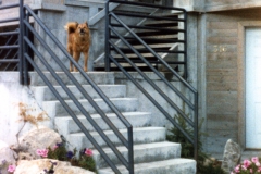 Horizontal Railings 13-
