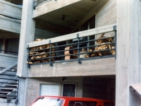 iron-anvil-railing-horizontal-pipe-xxxx25-park-city-1-1