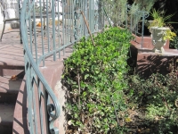 iron-anvil-railing-scrolls-and-patterns-double-panels-castings-brook-bradley-14912-repair-antique-rail-so-temple-2