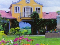 iron-anvil-railing-scrolls-and-patterns-picket-castings-simple-10-xxxx-utah-homes-and-garden-05-038-1