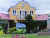 iron-anvil-railing-scrolls-and-patterns-picket-castings-simple-10-xxxx-utah-homes-and-garden-05-038-3