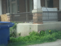 iron-anvil-railing-scrolls-and-patterns-repeating-misc-circles-and-scrolls-by-others-antique