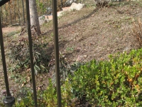 iron-anvil-railing-single-top-collars-parrish-rail-with-collars-1