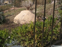 iron-anvil-railing-single-top-collars-parrish-rail-with-collars-2