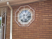 70-40561 COLE 18765 16652 18586 WINDOW GUARD OCTAGON