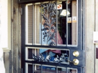 iron-anvil-security-doors-single-storm-door