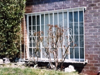 iron-anvil-security-window-guards-white