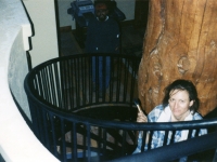 iron-anvil-stairs-spiral-angle-iron-no-tread-around-a-tree-42-1050-mike-holmes-15